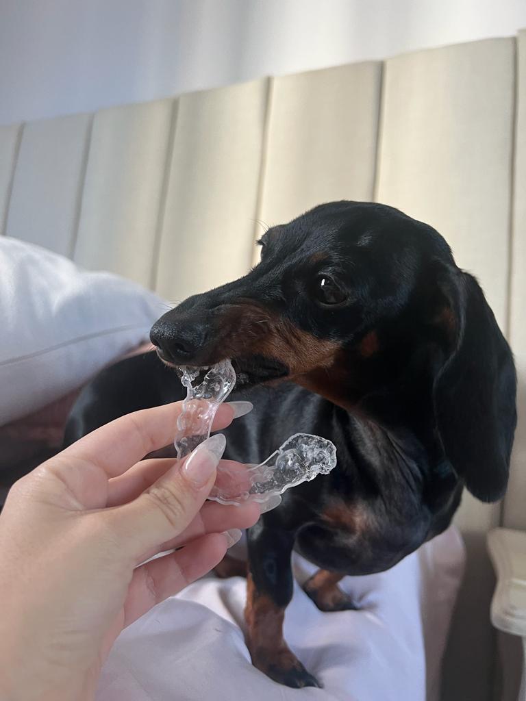 Placa de Descarga Personalizada